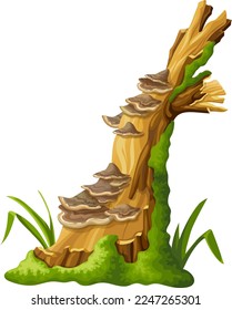 Logs, stumps in moss with fungus. Cartoon tree in lichen in swamp forest. Broken oak in tropical damp  jungle. Isolated vector element on white background.