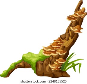 Logs, stumps in moss with fungus. Cartoon tree in lichen in swamp forest. Broken oak in tropical damp  jungle. Isolated vector element on white background.