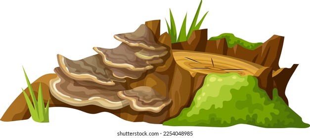 Logs, stumps in moss with fungus. Cartoon tree in lichen in swamp forest. Broken oak in tropical damp  jungle. Isolated vector element on white background.