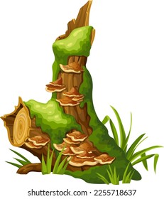 Logs, stumps in moss with fungus. Cartoon tree in lichen in swamp forest. Broken oak in tropical damp  jungle. Isolated vector element on white background.