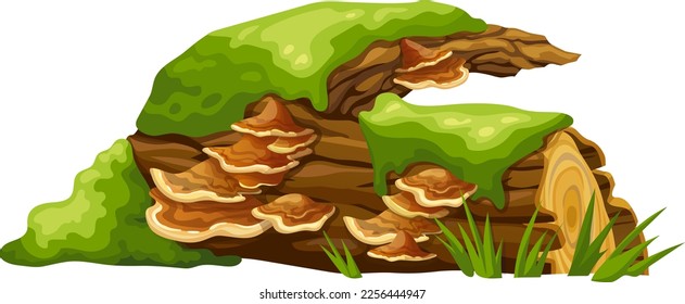 Logs, stumps in moss with fungus. Cartoon tree in lichen in swamp forest. Broken oak in tropical damp  jungle. Isolated vector element on white background.