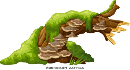 Logs, stumps in moss with fungus. Cartoon tree in lichen in swamp forest. Broken oak in tropical damp  jungle. Isolated vector element on white background.