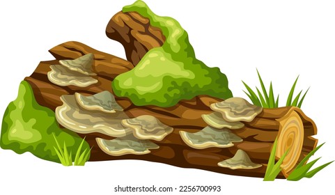 Logs, stumps in moss with fungus. Cartoon tree in lichen in swamp forest. Broken oak in tropical damp  jungle. Isolated vector element on white background.