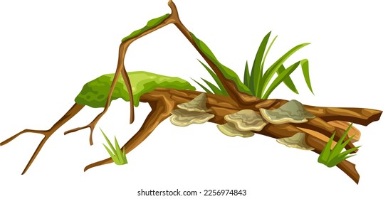 Logs, stumps in moss with fungus. Cartoon tree in lichen in swamp forest. Broken oak in tropical damp  jungle. Isolated vector element on white background.