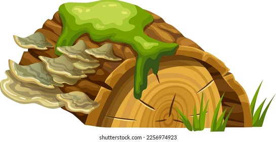 Logs, stumps in moss with fungus. Cartoon tree in lichen in swamp forest. Broken oak in tropical damp  jungle. Isolated vector element on white background.