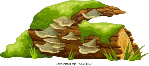 Logs, stumps in moss with fungus. Cartoon tree in lichen in swamp forest. Broken oak in tropical damp  jungle. Isolated vector element on white background.