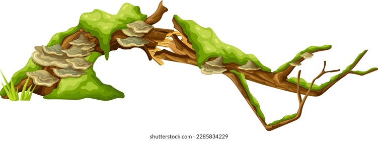 Logs, stumps in moss with fungus. Cartoon tree in lichen in swamp forest. Broken oak in tropical damp  jungle. Isolated vector element on white background.