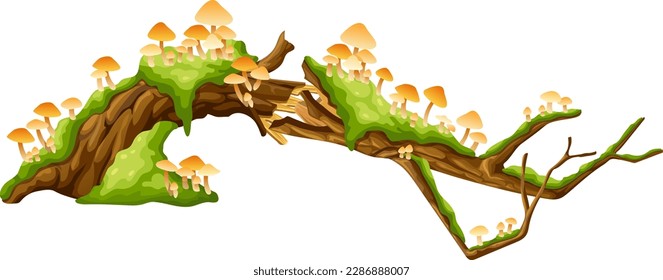 Logs, stumps in moss with fungus. Cartoon tree in lichen in swamp forest. Broken oak in tropical damp  jungle. Isolated vector element on white background.