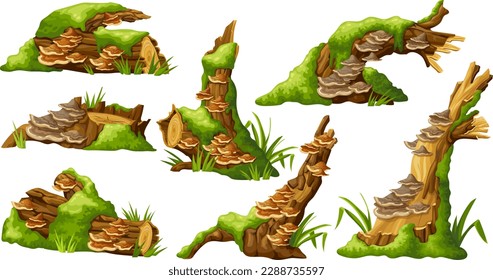 Logs, stumps in moss with fungus. Cartoon tree in lichen in swamp forest. Broken oak in tropical damp  jungle. Isolated vector element on white background.