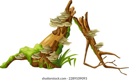 Logs, stumps in moss with fungus. Cartoon tree in lichen in swamp forest. Broken oak in tropical damp  jungle. Isolated vector element on white background.