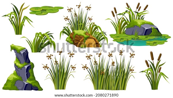 Logs, stumps, stone in moss. Marsh reed,\
grass, swamp cattails. Cartoon broken tree in lichen in swamp\
jungle. Rock in tropical damp forest. Set isolated vector element\
on white background.