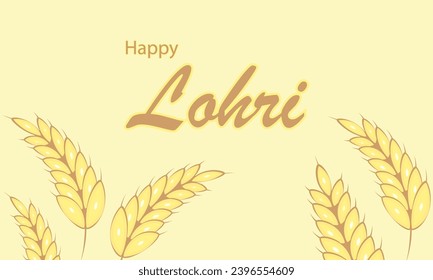 Lohri happy wheat background, vector art illustration.
