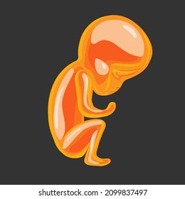 lollipop baby candy vector image on a dark background. eps