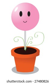 Lollipop growing in the pot