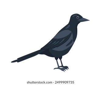 London black raven. British crow. United Kingdom culture and traditions. UK fauna and wildlife. Graphic element for website. Flat vector illustration isolated on white background