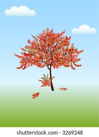 Lone autumn acacia  in vector format. Leaves can be removed and changed color.