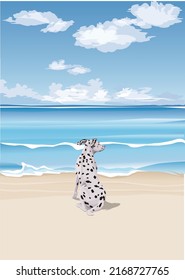 A lone Dalmatian is on the beach looking out over the magnificent ocean.vector illustration