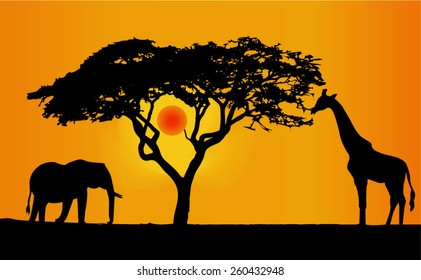 a lone elephant and giraffe africa 