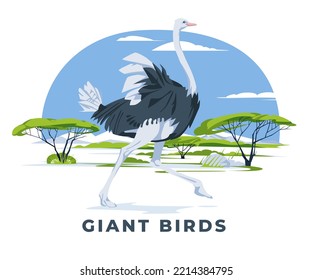 A lone ostrich running across the savannah landscape. Wild animals of Africa Giant birds. Animal world and panoramic landscape. Vector flat illustration