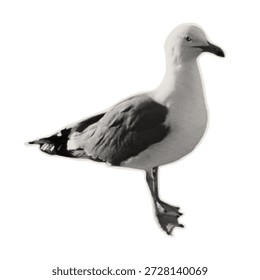 Una gaviota solitaria en estilo semitono para un collage. Un elemento de papel recortado de una gaviota. Una pegatina en una pieza rota de una imagen recortada de una revista. Ilustración vectorial.