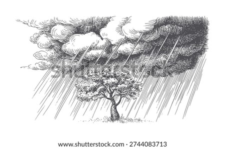 Lone tree endures heavy rain under dark storm clouds nature