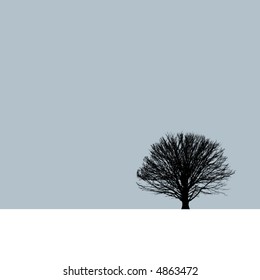 A lone tree in a field of winter solitude