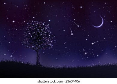 Lone tree at night (other landscapes are in my gallery)