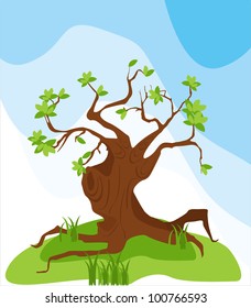 1,351 Tree roots above ground Images, Stock Photos & Vectors | Shutterstock