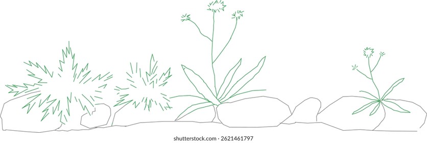 A lone tree stands tall in the open field, its branches stretching wide under the clear blue sky