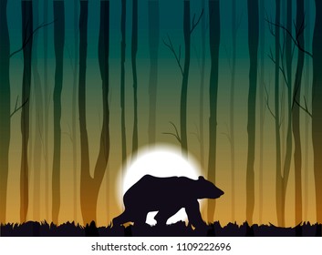 lonely bear in the sunset forest vector illustration