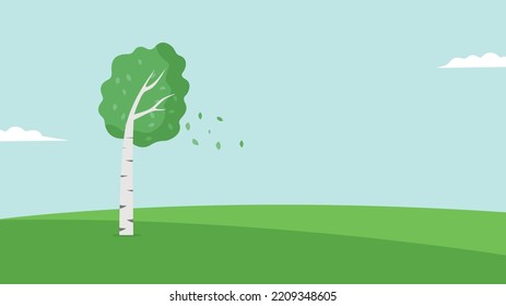 lonely birch in the field