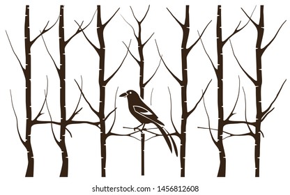a lonely bird in the middle of a dry forest, vector illustration