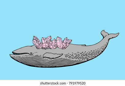 The lonely bottle with quartz crystals that grow from the back.Vector Illustration