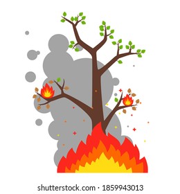 lonely burning tree on a white background. destruction of the forest by fire. flat vector illustration.