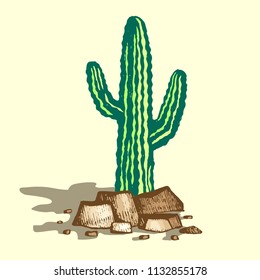 Lonely cactus on stones with shadow, vector cactus in sandy desert, color illustration.