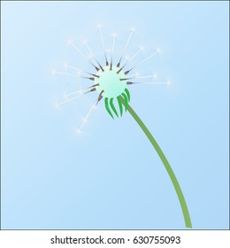 Lonely dandelion, alone against the blue sky.