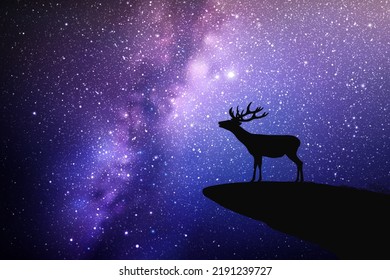 Venado solitario en el borde del acantilado. Silhouette animal. El cielo estrellado y la Vía Láctea