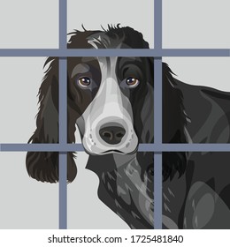 Lonely dog with sad eyes behind bars. Vector illustration isolated on dark background in realistic style