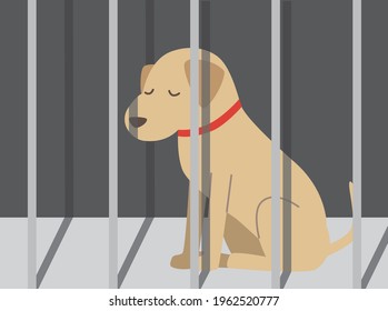 A lonely dog waiting for slaughter