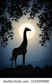 Lonely giraffe framed by branches. Animal silhouette. Full moon in sky