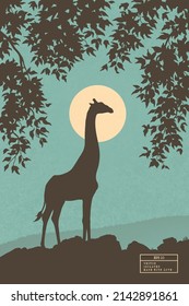 Lonely giraffe framed by branches. Animal silhouette. Full moon in sky