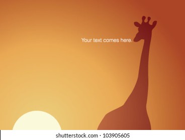 Lonely giraffe standing on sunset