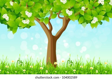 Lonely Green Tree standing in the Grass