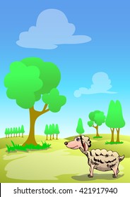 lonely lamb on sunny day landscape background