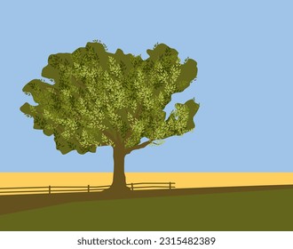 a lonely leafy big tree among yellow and green meadows.