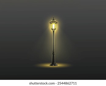 Lonely light at the entrance to a park long a highway in a cold and misty night. Lonely Light by Park Entrance on Highway, Illuminated on a Cold, Misty Night