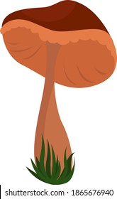 Lonely mushroom, illustration, vector on white background.