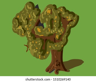 
lonely old oak in the park