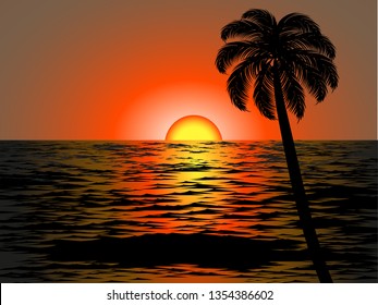 lonely palm sunset view 