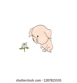 Lonely pig. Crying